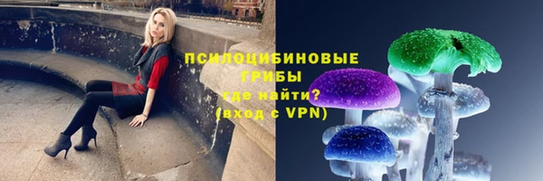 прущие грибы Верея