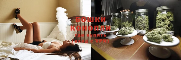 прущие грибы Верея