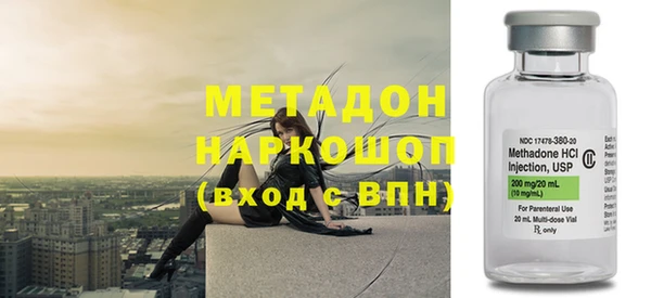 прущие грибы Верея