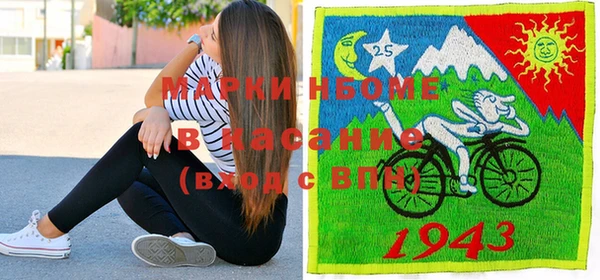 прущие грибы Верея