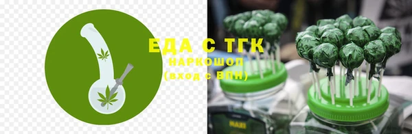прущие грибы Верея