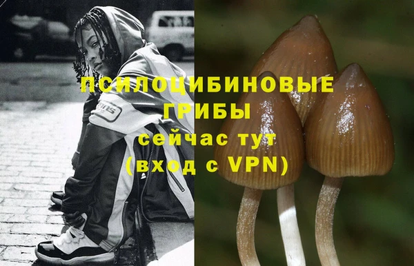 экстази Верхний Тагил