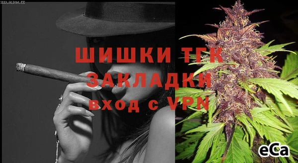 прущие грибы Верея