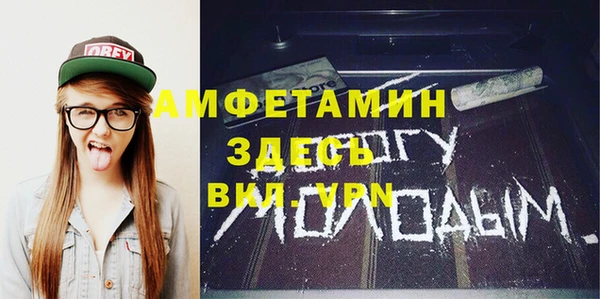 прущие грибы Верея