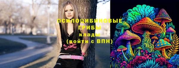 альфа пвп Верхнеуральск
