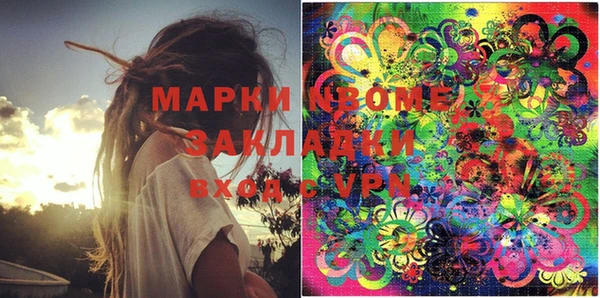 прущие грибы Верея