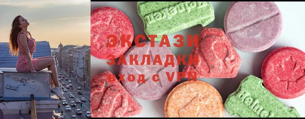 прущие грибы Верея