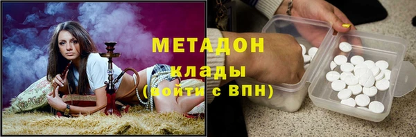 прущие грибы Верея