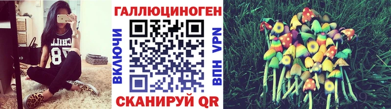 Псилоцибиновые грибы GOLDEN TEACHER Ростов