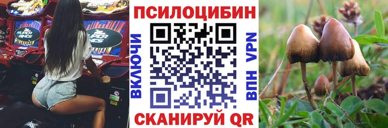 закладка  Ростов  Галлюциногенные грибы ЛСД 